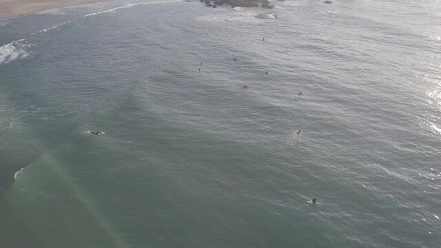 Surfing Surf Waves Ocean Sea Beach Island Sport Athletes Water Floripa Florianópolis Brasil