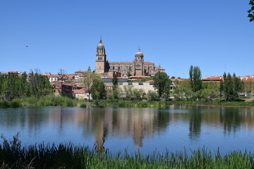 Fototapeta na wymiar Catedral de Salamanca desde el otro lado del río Tormes con reflejo en el agua