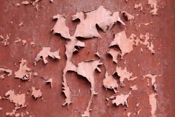 plate plank's paint already fall off