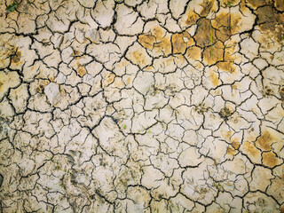 Dehydrated and cracked earth surface by the drought