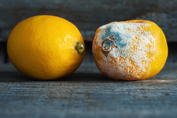 Fresh and rotten lemon. fruit with mold on wooden background