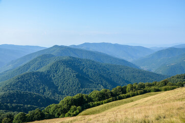 Fototapeta na wymiar Grassy meadow, forest and Carpathian mountain ridge in the distance. Beautiful summer landscape 