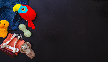 concept pet care and training on wooden background top view, Dog toys and clothes