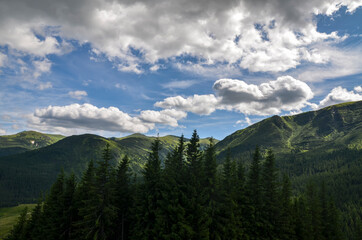 View of picturesque landscape with mountains slopes covered in pine forest. Ukraine nature tourism. Holidays in the mountains. Carpathians