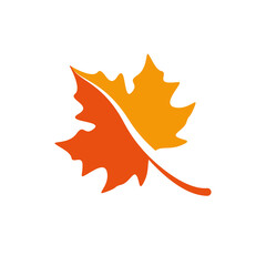 Naklejka premium maple leave graphich design vector