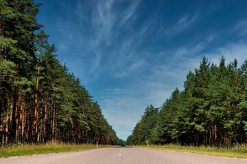 The road through the pine forest.