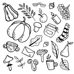 Vector flat illustration on an autumn theme: mushrooms, vegetables, leaves, cute attributes. Doodle objects are cut out. Background decoration.