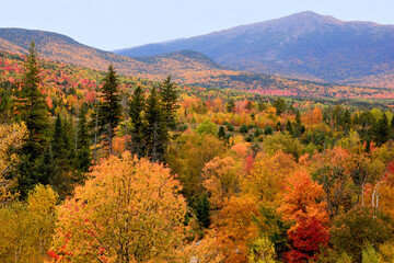 Breathtaking scenic view of rugged summit of Mount Washington in White Mountain National Forest of New Hampshire framed by brilliant fall foliage.