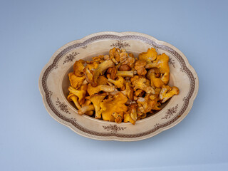 Bowl of chantarelle mushrooms