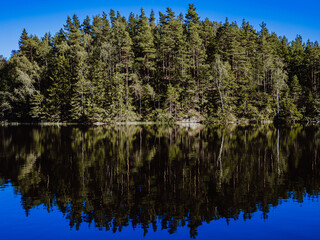 Fototapeta na wymiar Trees on a hill reflecting in the water of a lake