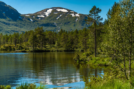 Scenery along the  Gaula lriver along road 13 near Hov in the region Sogn og Fjordane, Norway.