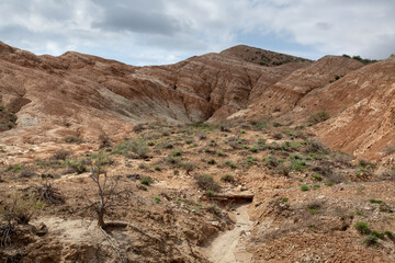 Clay-chalk hills of Kazakhstan with sparse vegetation.