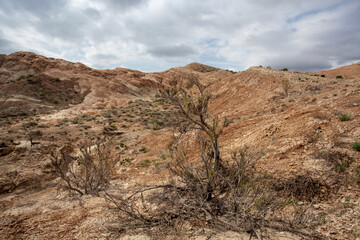 Clay-chalk hills of Kazakhstan with sparse vegetation.