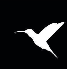 Hummingbird silhouette