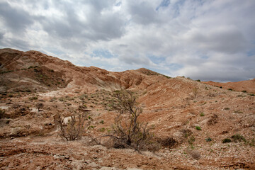 Clay-chalk hills of Kazakhstan with sparse vegetation.