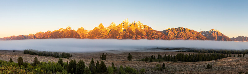 Panoramic view of the Teton mountains at dawn with fog below them in Grand Teton National Park