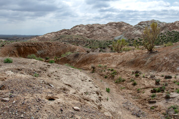 Clay-chalk hills of Kazakhstan with sparse vegetation.