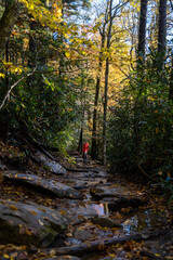 Nature Fall hike 