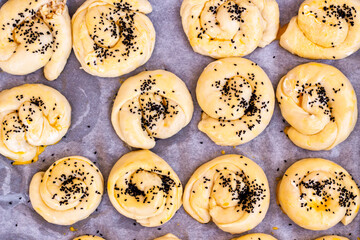 Traditional Turkish Homemade Pastries ready to cook on paper of oven.