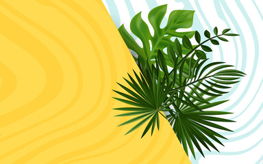 green leaves nature with wavy background. banner. Springtime . tropical nature .Close up . Environment wallpaper.