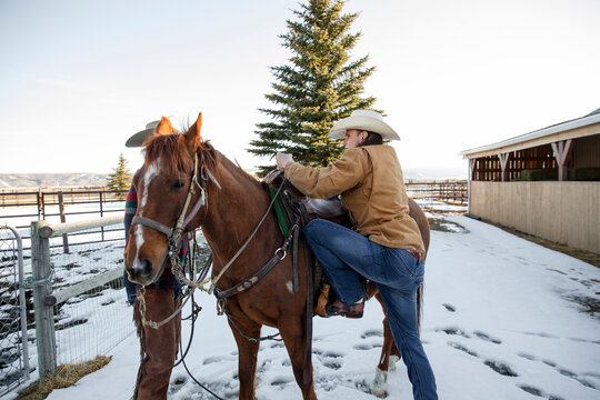 Male rancher getting on horse on snowy ranch