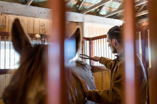 Male rancher preparing horse in stable stall