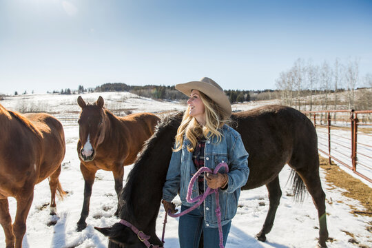 Female rancher with horses in sunny snowy paddock