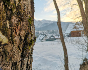 Piękno polskich gór