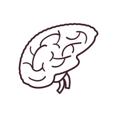 brain line style icon vector design