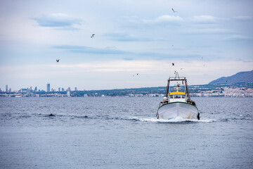 Obraz premium Trawl boat returning to port