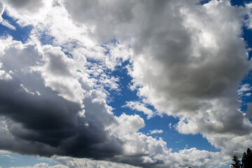 迫力満点の層積雲が青い空を背に渦巻く