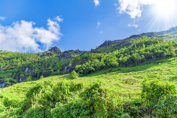 Fototapeta na wymiar landscape terraces green grass blue sky cloud of Sapa Vietnam.