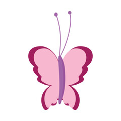 Fototapeta premium beautiful butterfly delicate insect cartoon isolated icon white background