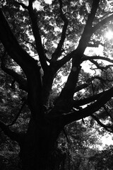 IMG_1219.JPG