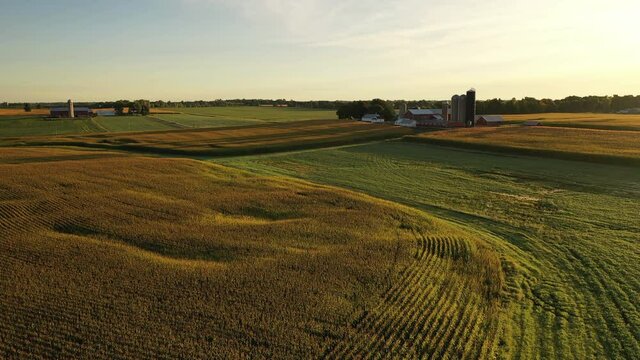 Birds eye view of harvest field, midwestern farm. Rural landscape, american countryside in September. Harvesting corn season