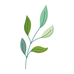 branch leaves foliage natural isolated icon white background