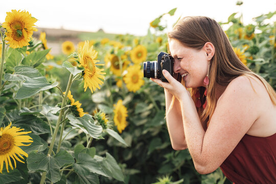 Side View Of Young Woman Taking Picture Of Sunflower Using Camera In Farm