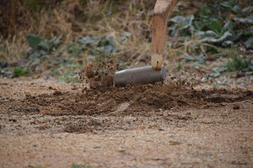 Lanzamiento de marro para dar a la calva