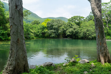 ojo de agua