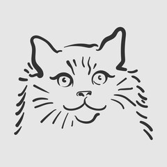vector illustration of a cat