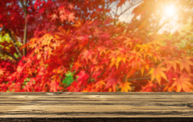 Empty wooden table in front of a colorful autumn landscape. Concept Seasonal Banner
