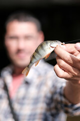 Adult Fisherman Caught a small Fish on the river and shows his haul. Concept of fishing sport and hobbies. Focus on fish. Small depth of field.