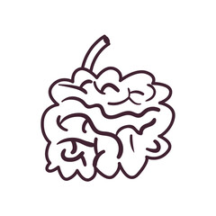 small intestine line style icon vector design