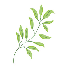 branch leaves foliage decoration icon white background