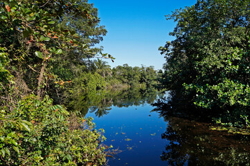 Tropical Landscape on public park, Rio de Janeiro