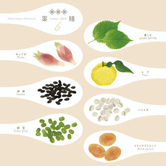 薬膳 / 漢方 / ほっこり食材イラスト-6