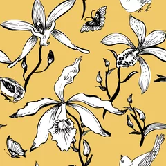 Papier Peint photo Orchidee Motif dessiné à la main sans couture de vecteur avec des papillons, des orchidées, des fleurs exotiques et des oiseaux.