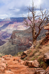 Looking into the Grand Canyon from Bright Angel Trail 