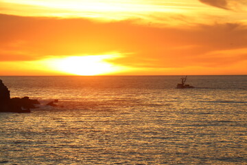 These photos are a part of series featuring Catalina Island in the Spring of 2020