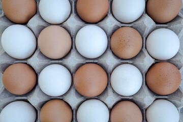 Photograph of Brown and White Eggs in a Carton